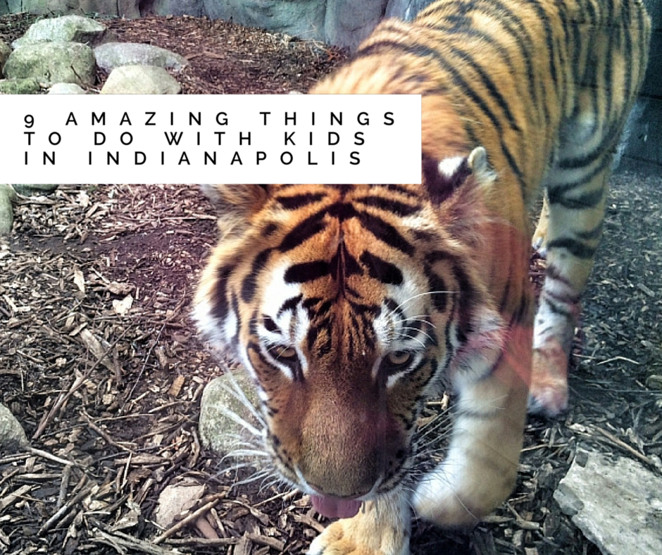 9 Amazing Things To Do With Kids In Indianapolis Grkids