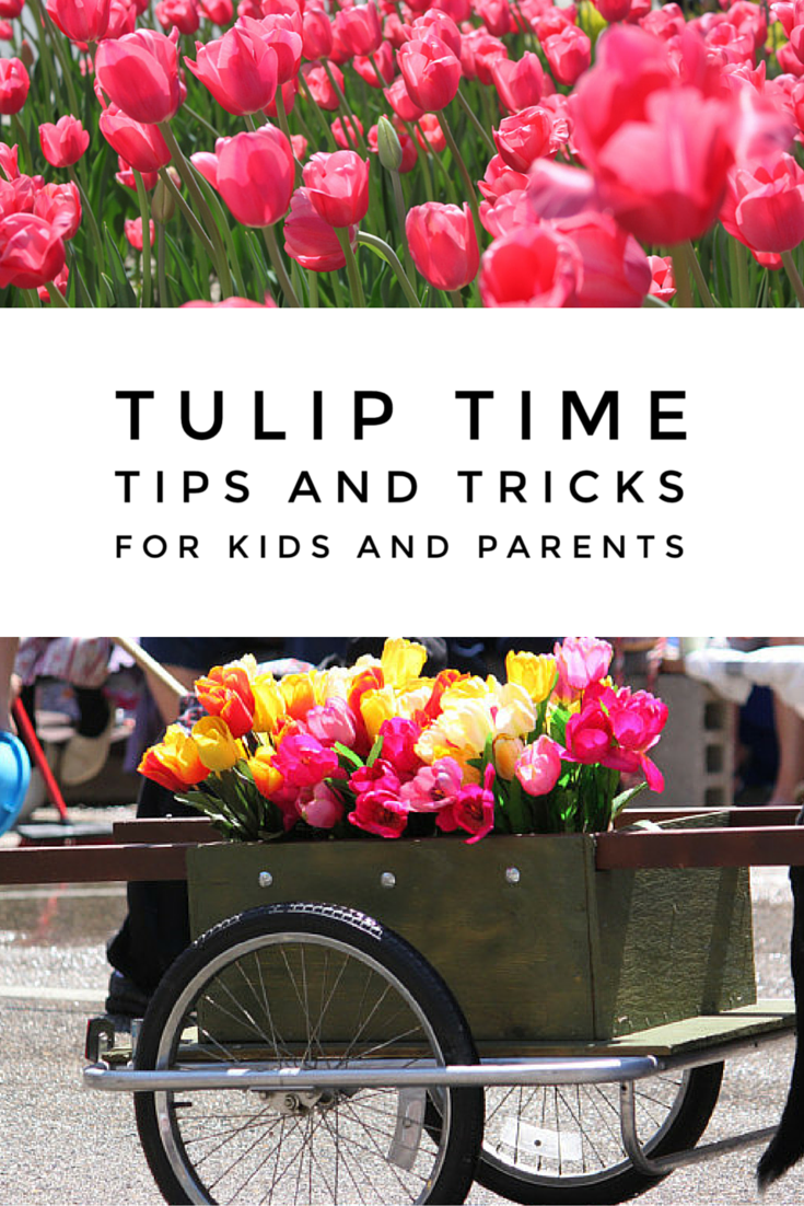 Things to Do at Tulip Time with Kids 