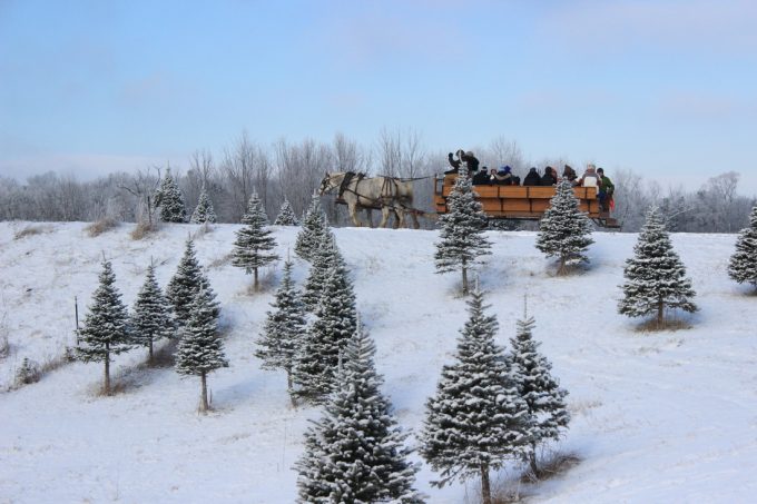 Greater Grand Rapids Christmas Tree Guide - grkids.com