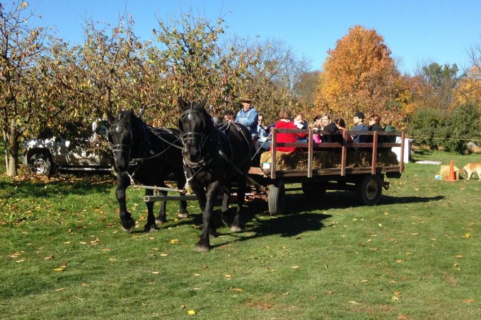Moelker Orchards Horse Hayrides