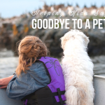 How to Help Kids Grieve Their Beloved Pet and Grand Rapids Resources for Pet Bereavement