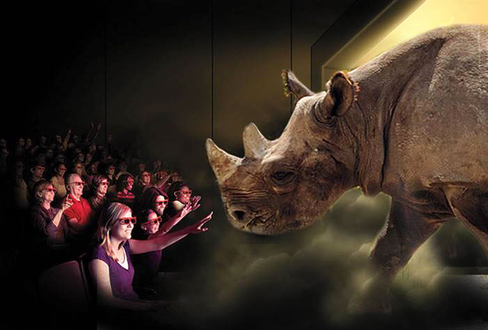 Detroit Zoo 4 D theatre rhino