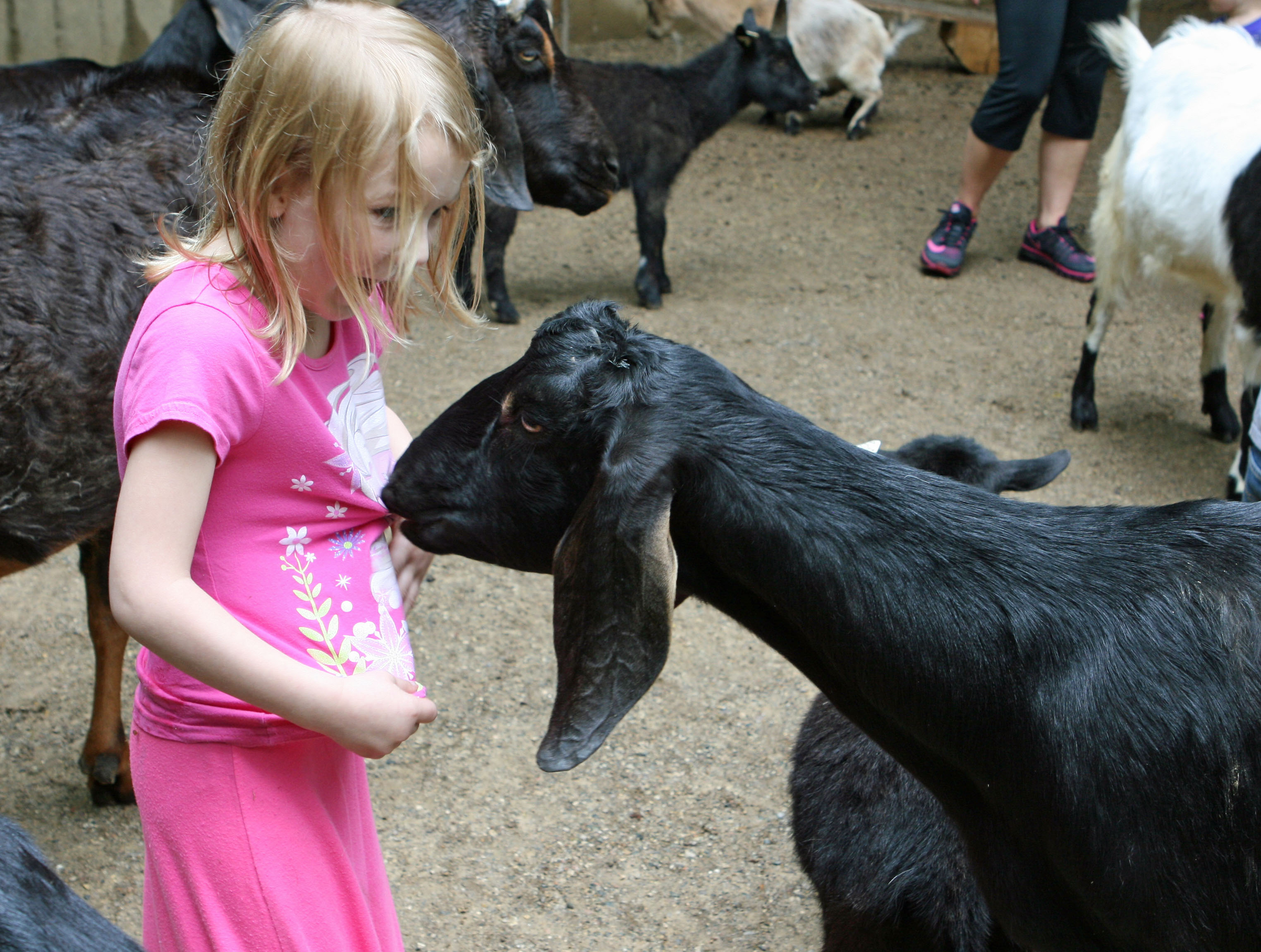 9 Reasons You Need a John Ball Zoo Membership