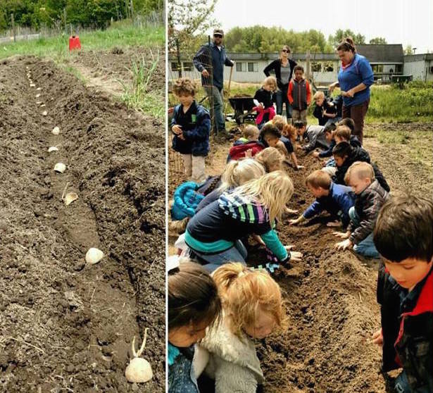 West MI Academy of Environmental Science Features Outdoor Summer Camp