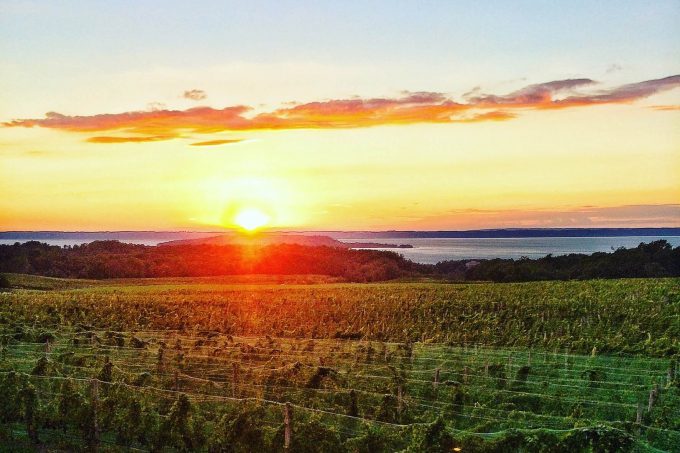 Traverse City Wine Sunset