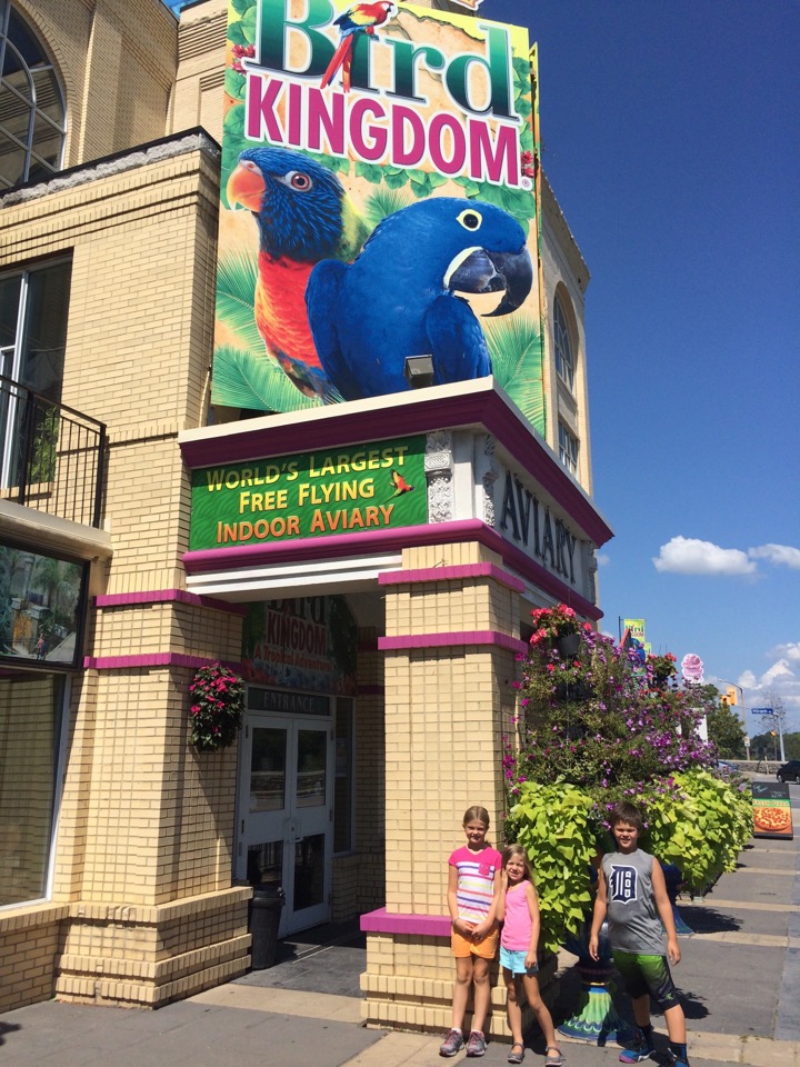 Niagara falls with Kids Bird Kingdom