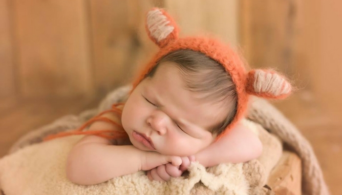 baby boy birthday fox