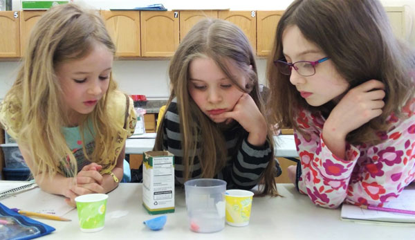Homeschool GRACE girls doing science