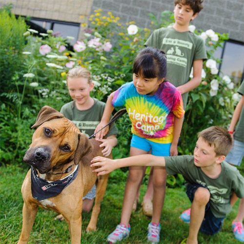 Puppy Cuddles from the Humane Society of West Michigan