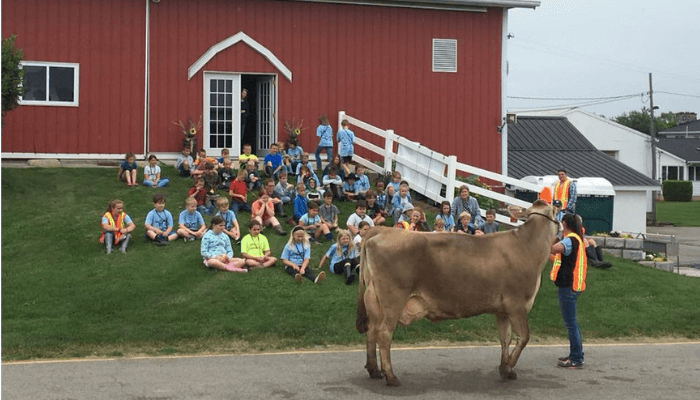 Dairy Day Camp at Dairy Discovery
