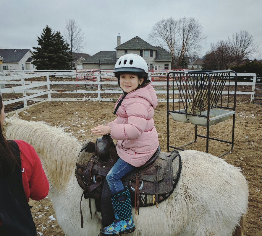 Critter Barn pony ride birthday