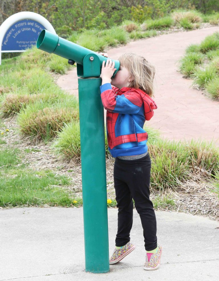 Frog Hollow Park is ADA Accessible and Built for Hours of Fun Frog Hollow Park is ADA Accessible and Built for Hours of Fun