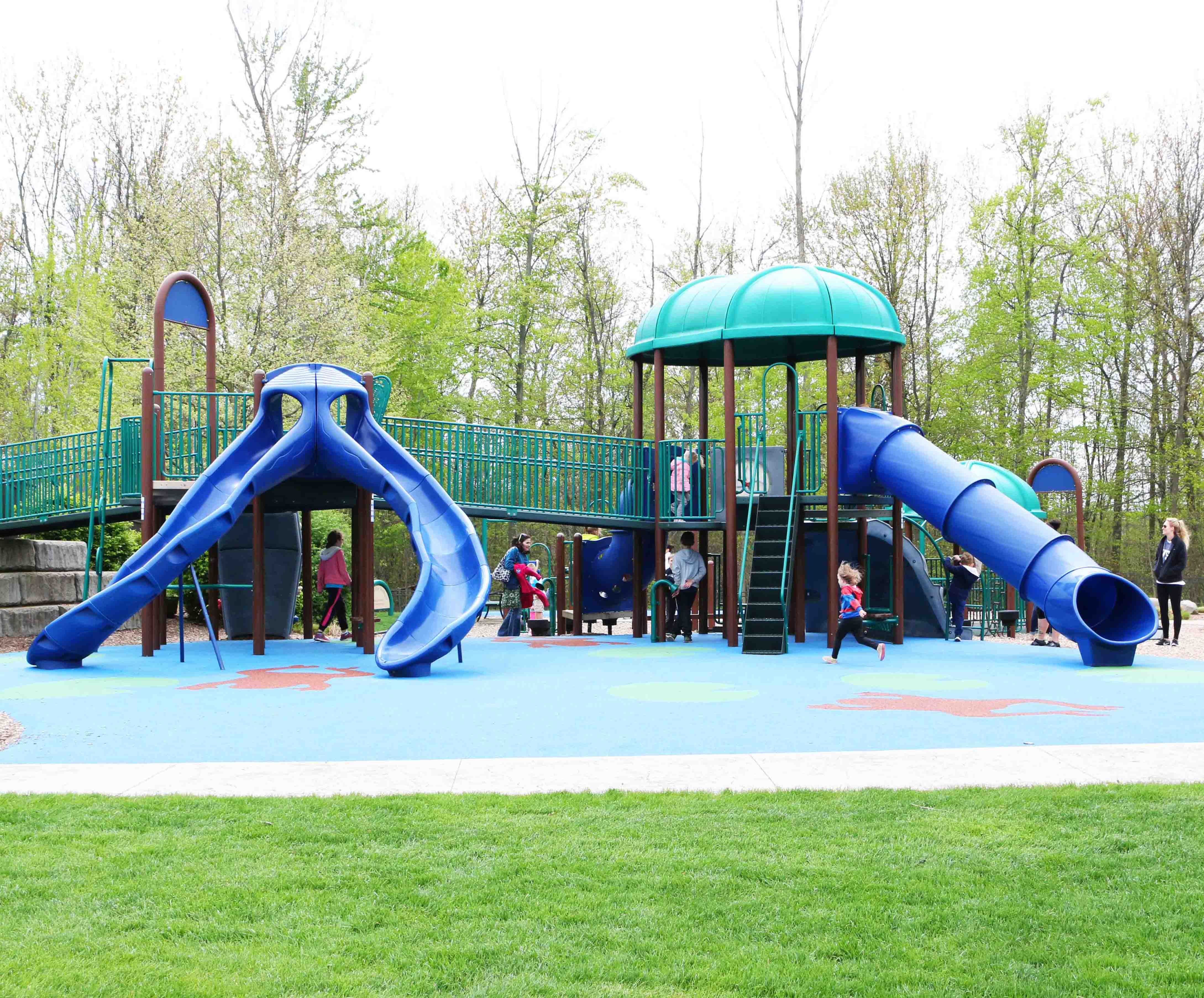 Frog Hollow Playground wide