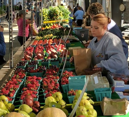 Fulton Street Farmers Market farmer fresh produce