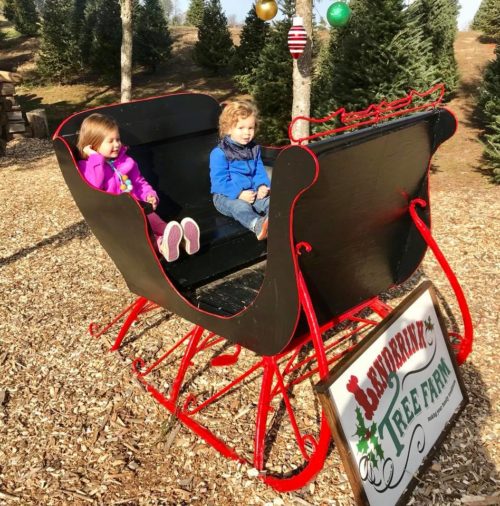 Favorite Christmas Tree Farms Near Grand Rapids + Map of