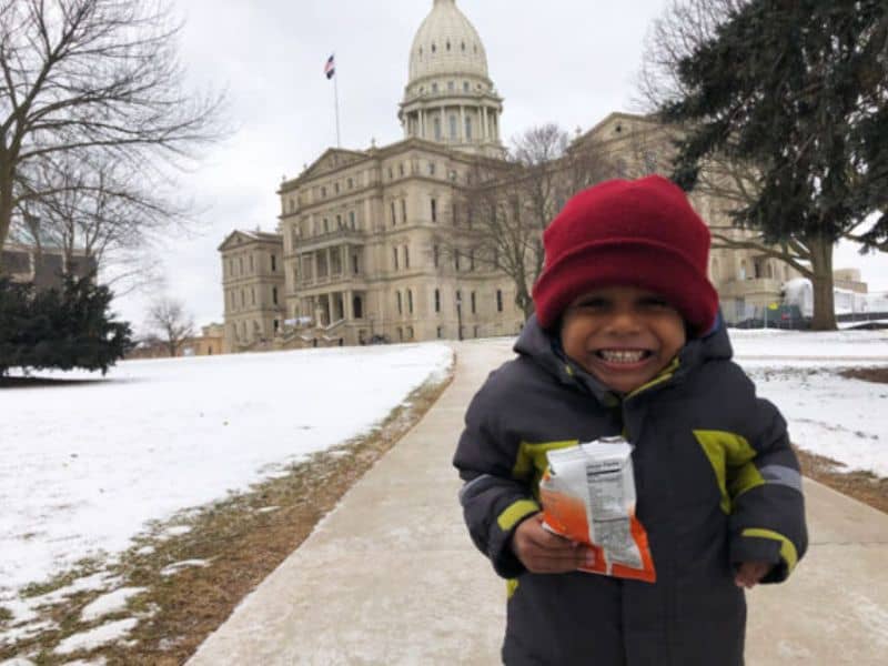 Michigan-State-Capitol-Downtown-Lansing-Brooks