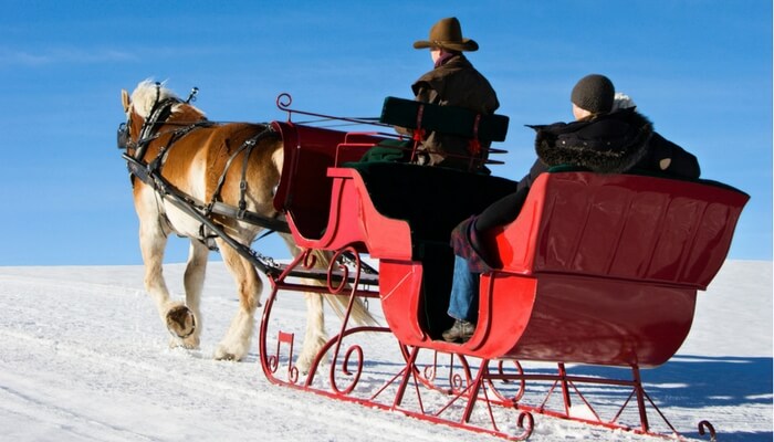 7 Places Offering Horse Drawn Sleigh Rides in West Michigan - grkids.com