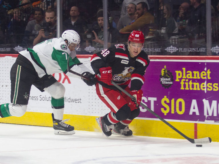 Grand Rapids Griffins 6 Things to Know Before You Go to a Hockey Game