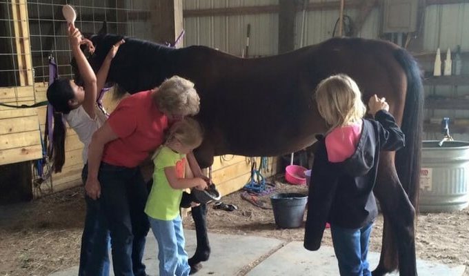 Legacy Stables 'Own-A-Horse' Camp