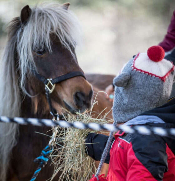 Blandford Nature Center is an Incredible Outdoors Experience In Every