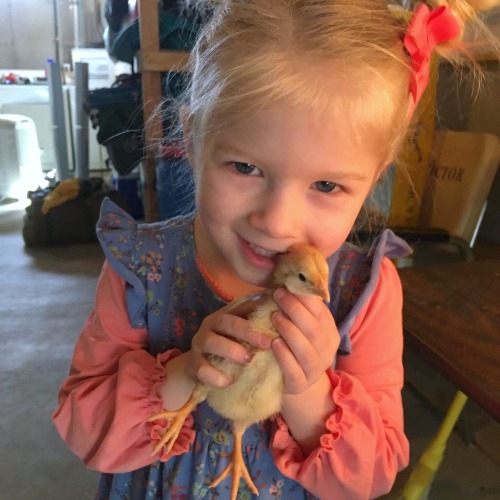 Girl with baby chick chickens