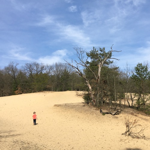 Provin Trails sand dune boy