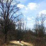 Wahlfield Park: Biking, Hiking and Endless Possibilities for Adventure