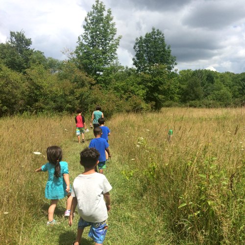 Lyme Disease and the Rise of Ticks in Michigan How to Protect your Kids