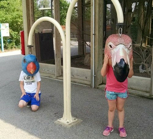 Indianapolis Zoo Bird Heads