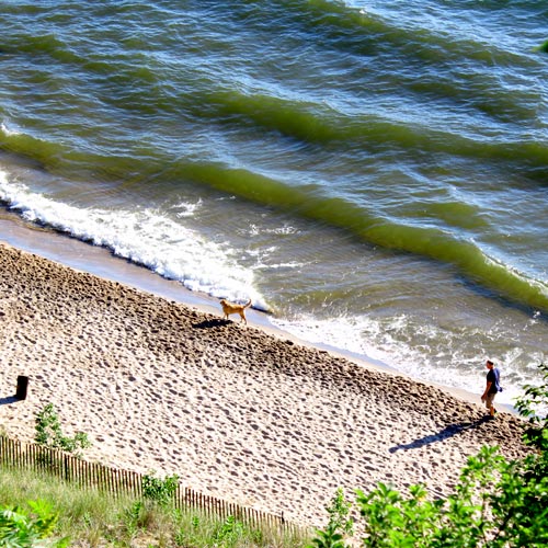 Lake Michigan dog beach
