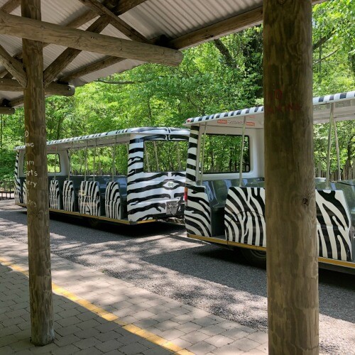 Binder Park Zoo is Over 400 Acres of WOW