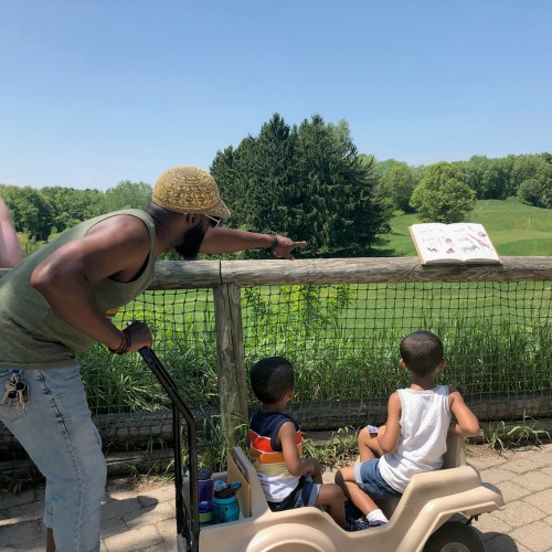 Binder Park Zoo is Over 400 Acres of WOW