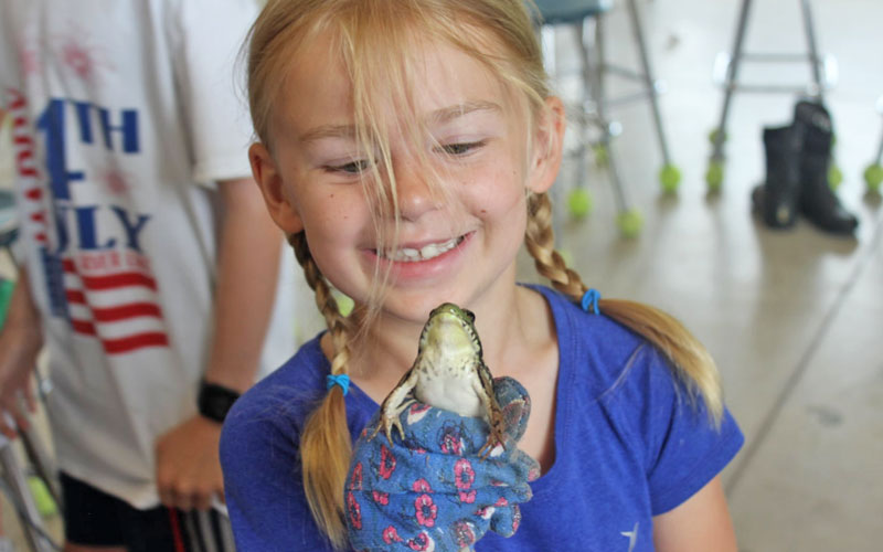 Ada Christian joyful girl with frog