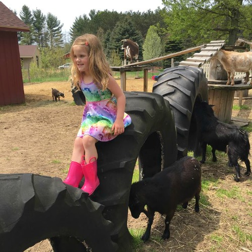 Fellinlove Farm girl in goat pen