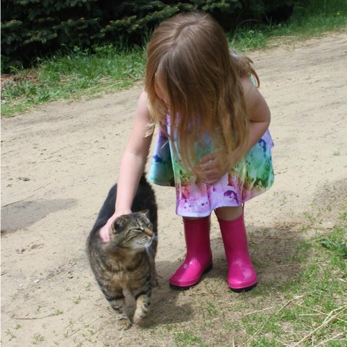 Fellinlove Farm girl petting cat