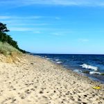 Kirk Park Beach is for Dog Lovers …and People who like Dune Views and Wooded Trails