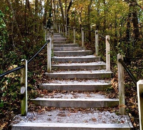 Stairs along the trail at Rosy Mound Natural Area in Michigan
