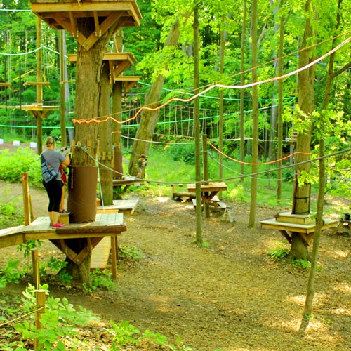 Treerunner Adventure Junior Park