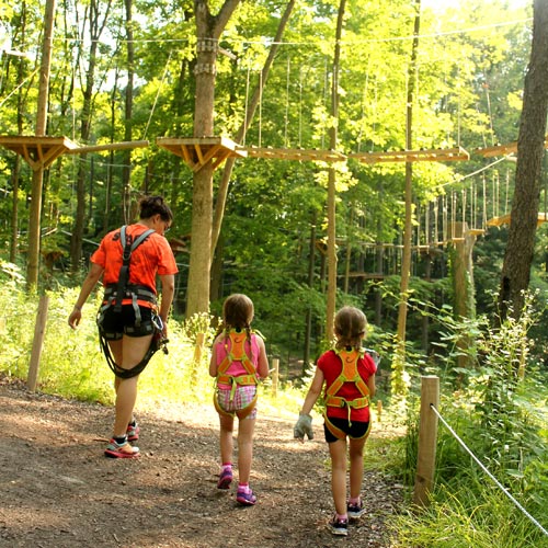 Treerunner Adventure Park