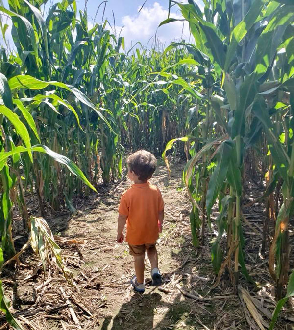 Grand Rapids Corn Mazes