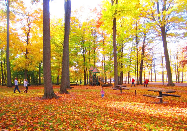 Spring Grove Park Fall Colors Shaffer