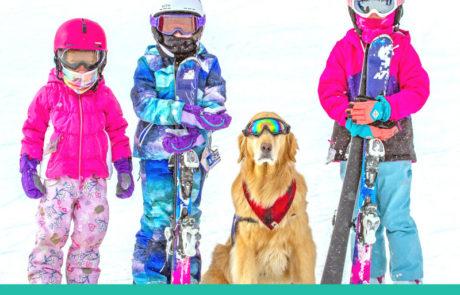 Michigan Winter: Best Places to Sled, Ski, Skate, Snowshoe, Snowmobile & Experience Sled Dogs
