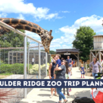 Boulder Ridge Zoo: Wild Animal Park & Safari Walkthrough