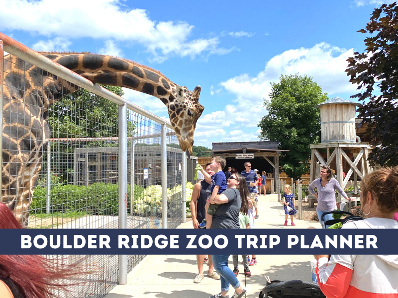 Boulder Ridge Zoo Trip Planner