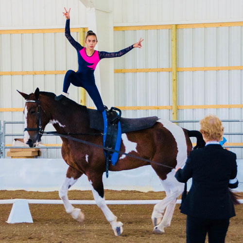 Vaulting at Legacy Stables
