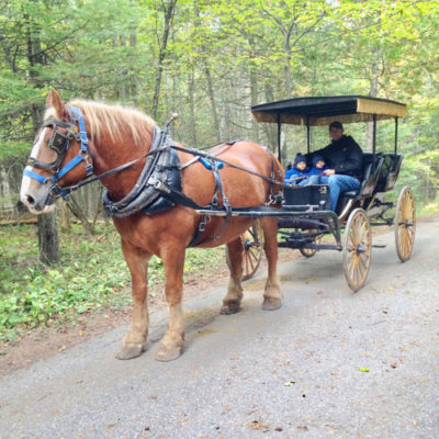 15 Incredible Perks of Staying at The Grand Hotel Mackinac Island in ...