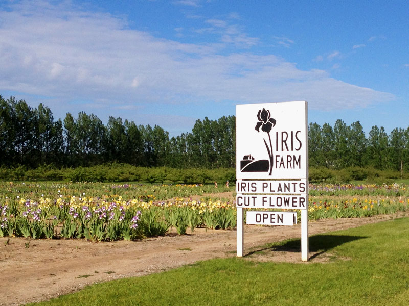 Traverse City iris farm sign