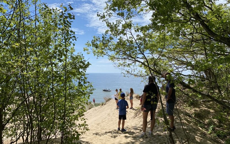 are dogs allowed at saugatuck dunes state park