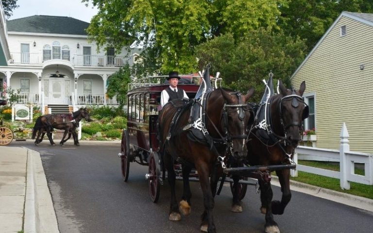 25 Best Things to do on Mackinac Island: Timeless Delights & Insider ...