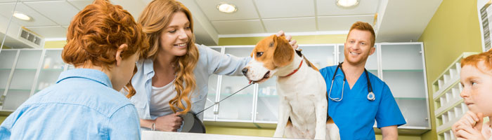 Grandtastic-best-grand-rapids-veterinarian-narrow Grandtastic best grand rapids veterinarian narrow